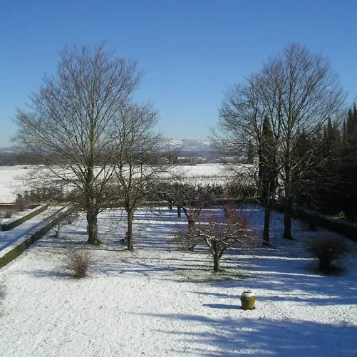 vmvinhos-vinicolabartali-3