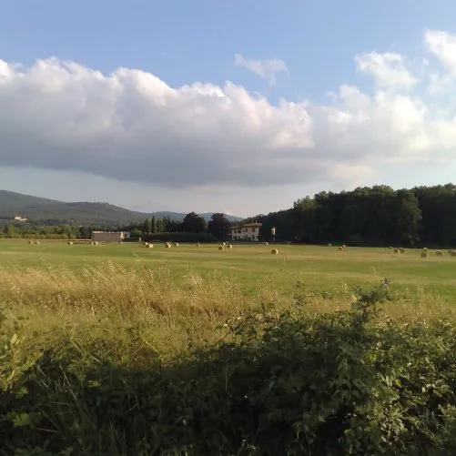 vmvinhos-vinicolabartali-4