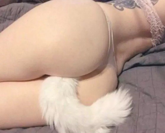 Plug anal rabo sensual