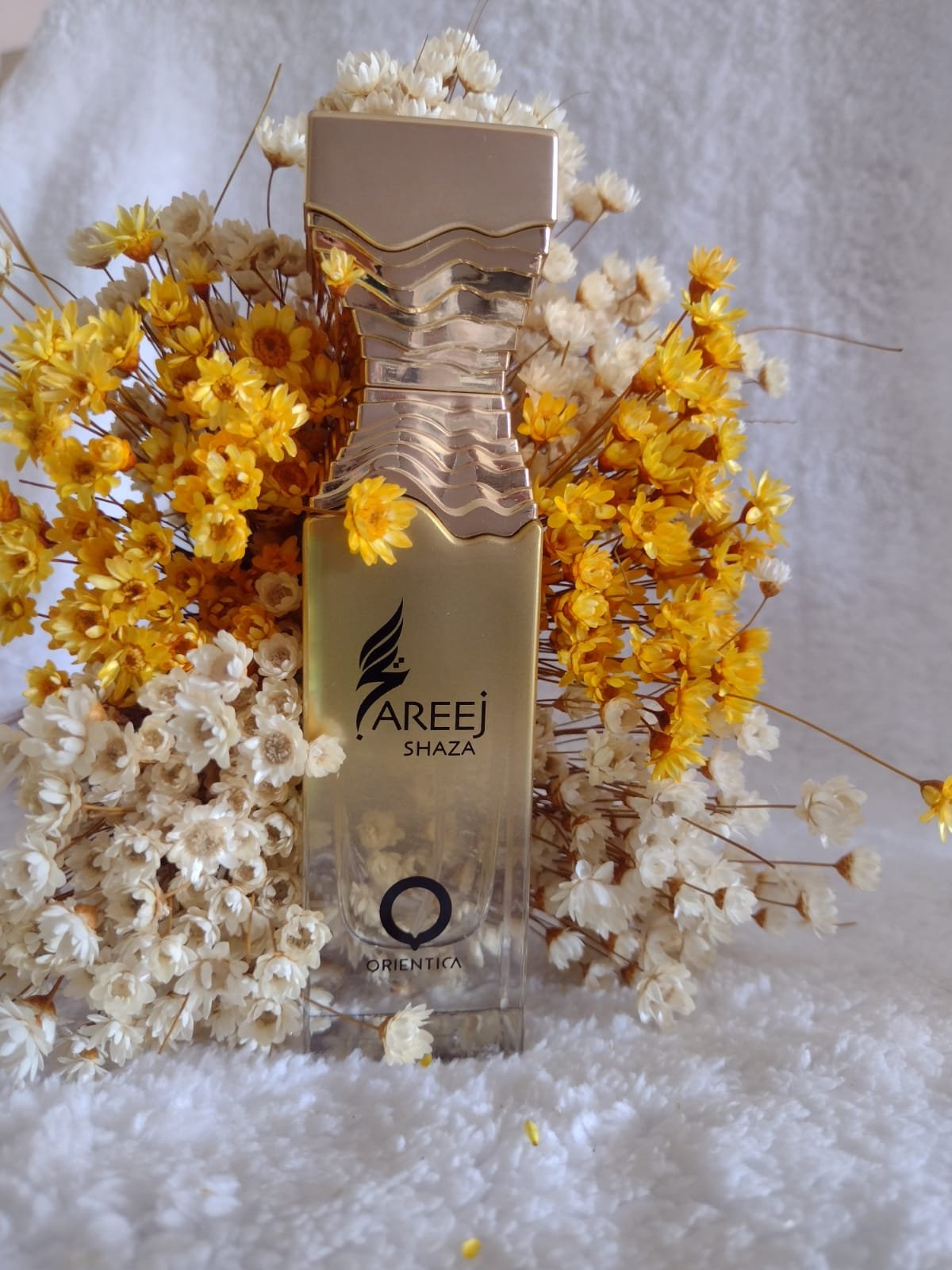 Areej Shaza - Orientica - 50ml | Brand Collection SP
