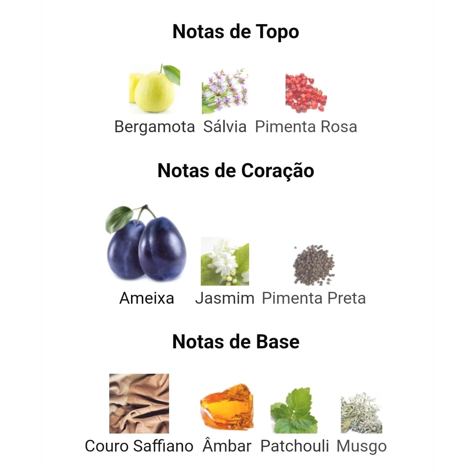 na-5-1_1600x1600+fill_ffffff.jpeg?v=1716290211