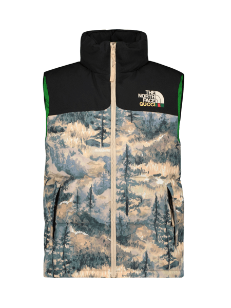 Colete Gucci x The North Face Art Preto | Zivē Club