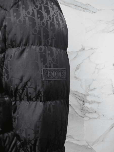 Casaco Dior Oblique Cinza | Zivē Club