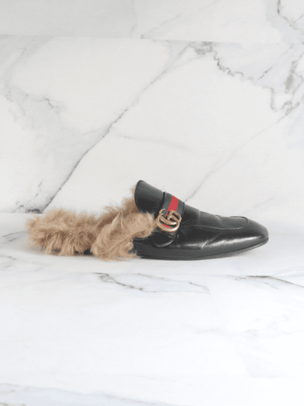 Mule Gucci Fur GG Web Preto | Zivē Club