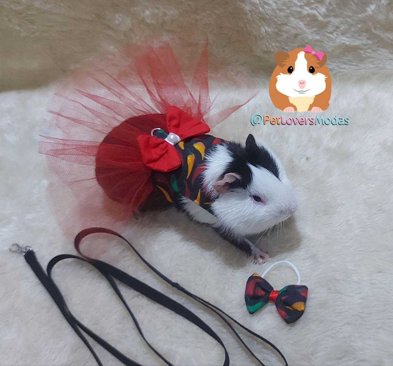 Vestido Tule Peitoral para Porquinho da Índia Adulto Pimentas | Pet ...