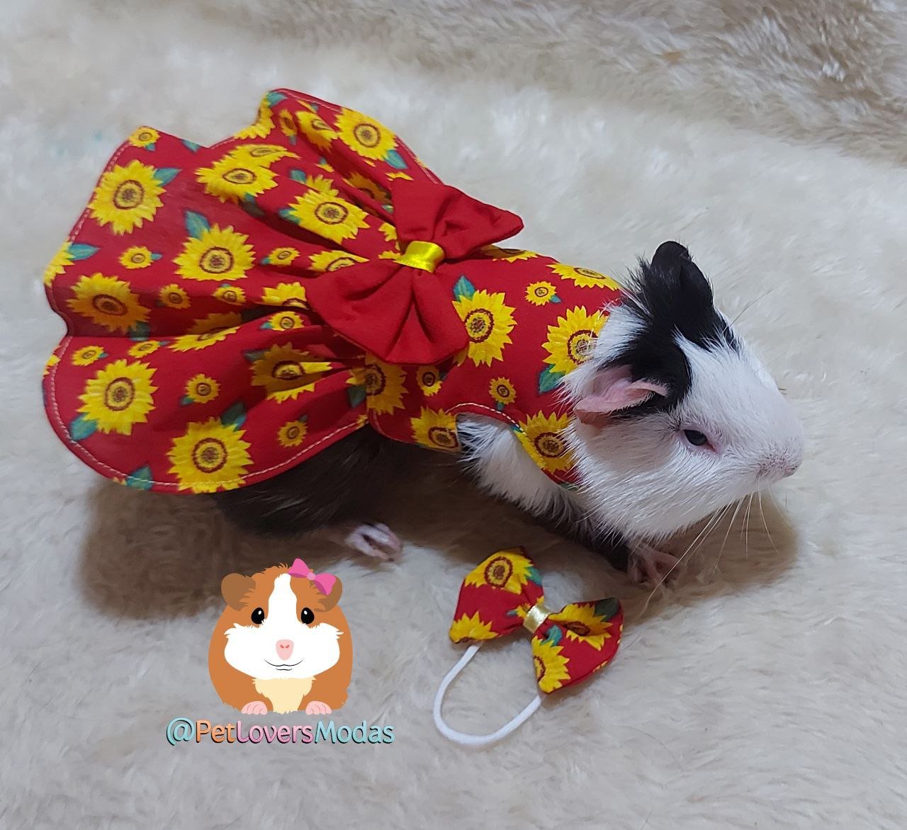Vestido peitoral pet Girassol Vermelho para porquinho da índia Adulto ...