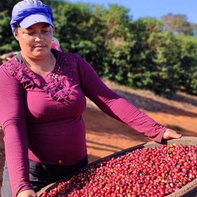 Café RARO 1kg | Encantos do Café | A sua loja de café especial