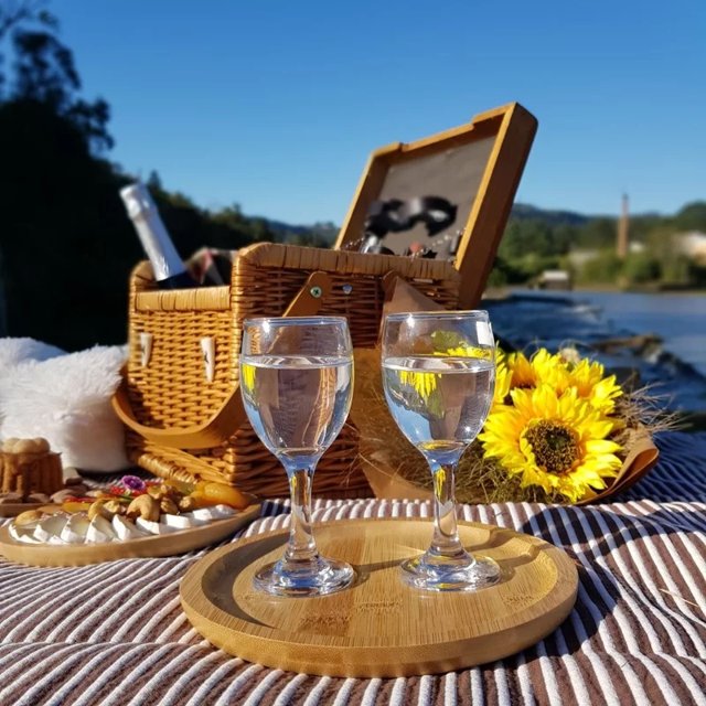 KIT PIQUENIQUE DE VIME VERDE