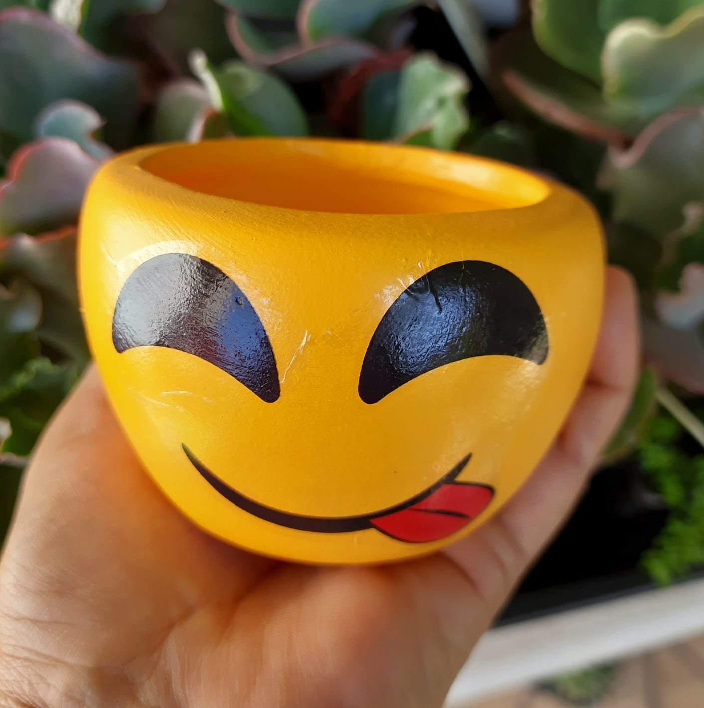 Vaso Emoji para Suculentas e Cactos