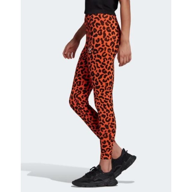 Shop adidas Leopard Tights HC4477 orange