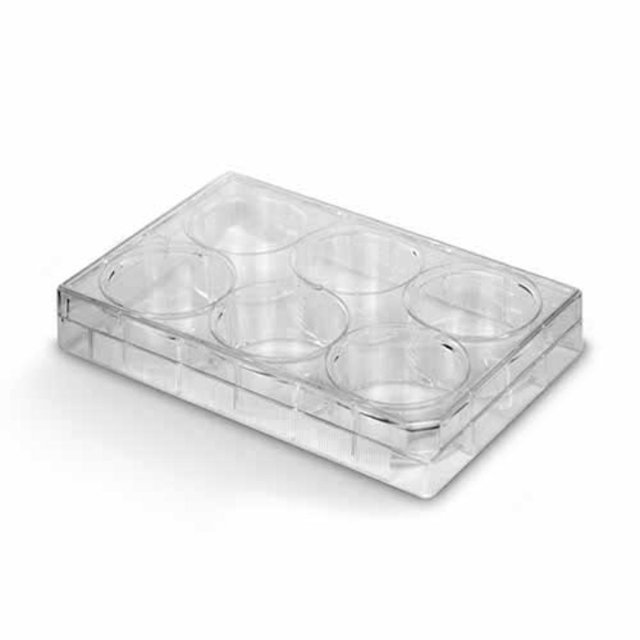 Placa Para Cultivo De Células 6 Poços Fundo Chato | Interjet | Insumos ...