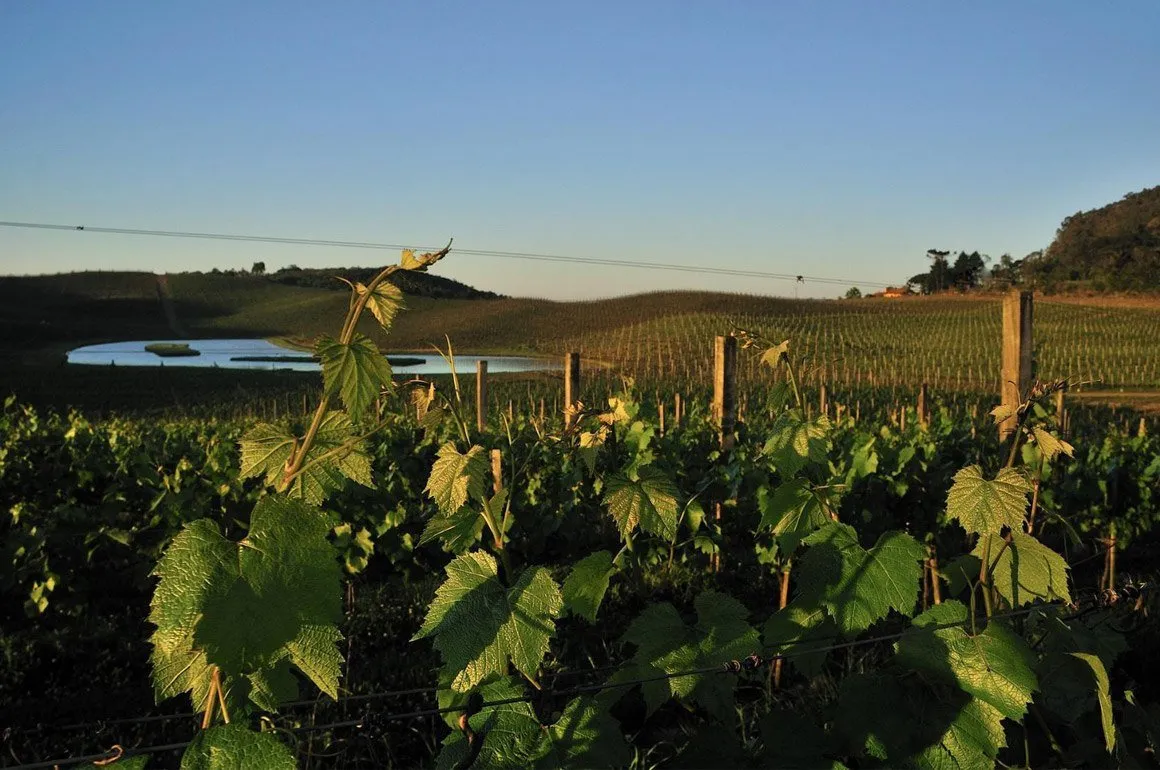 bg-luiz-argenta-conceito-04