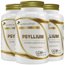 KIT 3X Psyllium 500mg 60 Cápsulas - Flora Nativa