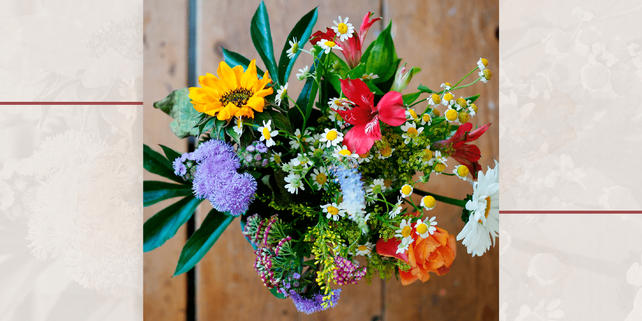 Aprenda comigo como criar uma rosa delicada utilizando e.v.a . Acompanhe o  passo a passo dessa bela flor, perfeita para presentear ou decorar qualquer  ambiente.Inspire - se ! #rosaemeva #floremeva ..., image size:1280x640