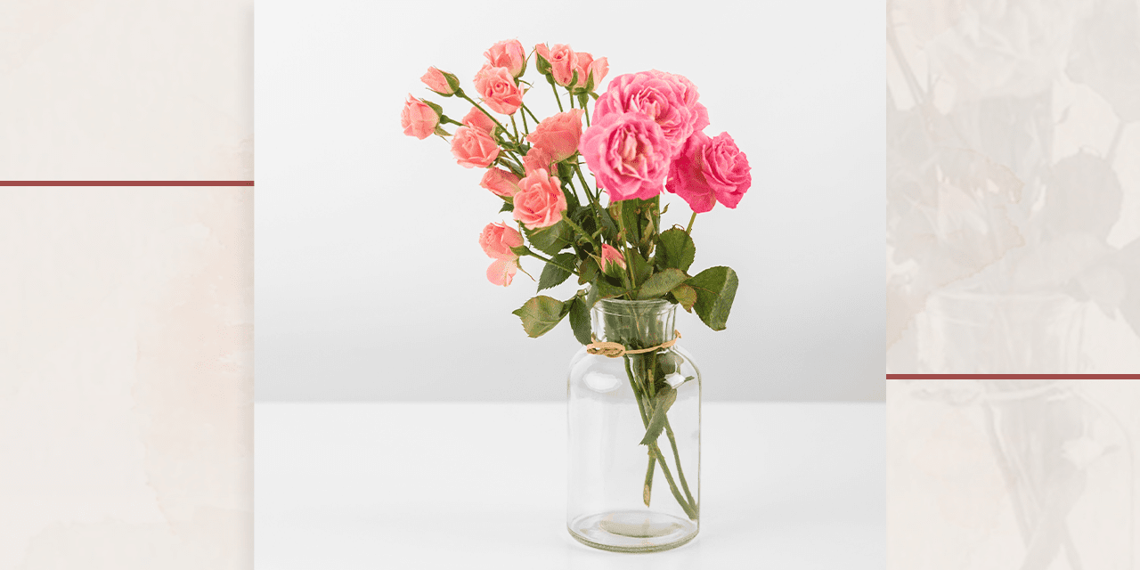 Vaso de flores : Como escolher o ideal para a minha flor