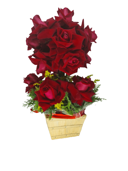 Arranjo com uma rosa colombiana - Preço Arranjo com uma rosa colombiana -  Comprar Arranjo com uma rosa colombiana | Elis Flores e Presentes Ltda