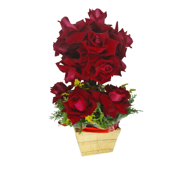 Arranjo com rosas vermelhas - Preço Arranjo com rosas vermelhas - Comprar  Arranjo com rosas vermelhas | Elis Flores e Presentes Ltda