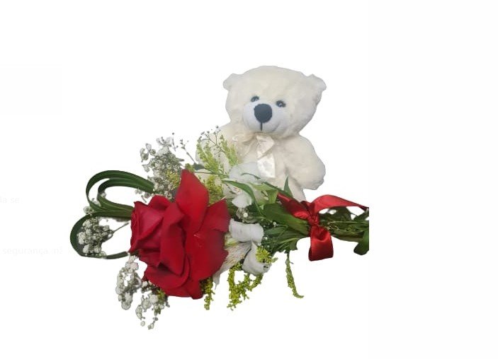 Urso de Pelúcia e Rosa Importada Colombina para Presente | Elis Flores ...