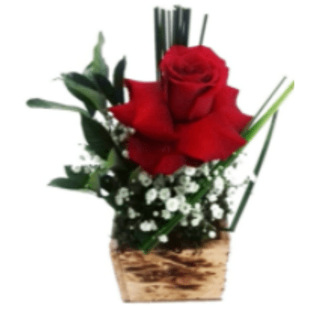 Arranjo com uma rosa colombiana - Preço Arranjo com uma rosa colombiana -  Comprar Arranjo com uma rosa colombiana | Elis Flores e Presentes Ltda