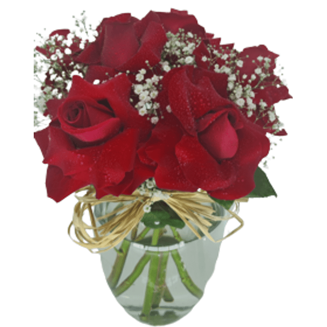 Buquê no vidro com 6 rosas Colombianas - Preço Buquê no vidro com 6 rosas  Colombianas - Comprar Buquê no vidro com 6 rosas Colombianas | Elis Flores  e Presentes Ltda