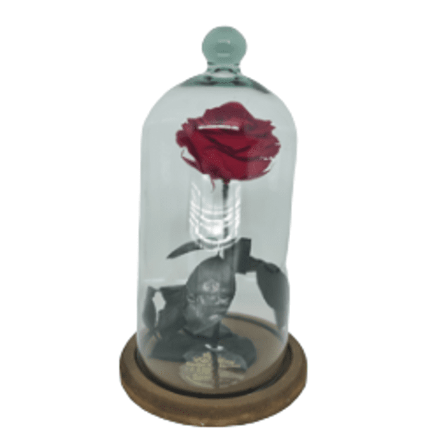 Rosa Preservada importada na Cúpula de Vidro Tamanho Grande | Elis Flores e  Presentes Ltda