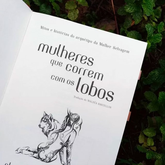 Mulheres Que Correm Com Os Lobos - Clarissa Pinkola Estés - Capa Dura ...