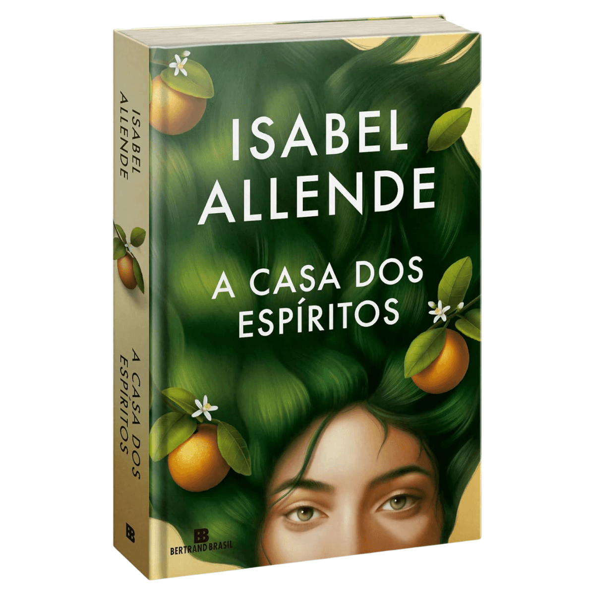 A Casa dos Espíritos - Isabel Allende - Capa Dura - Livro Físico ...