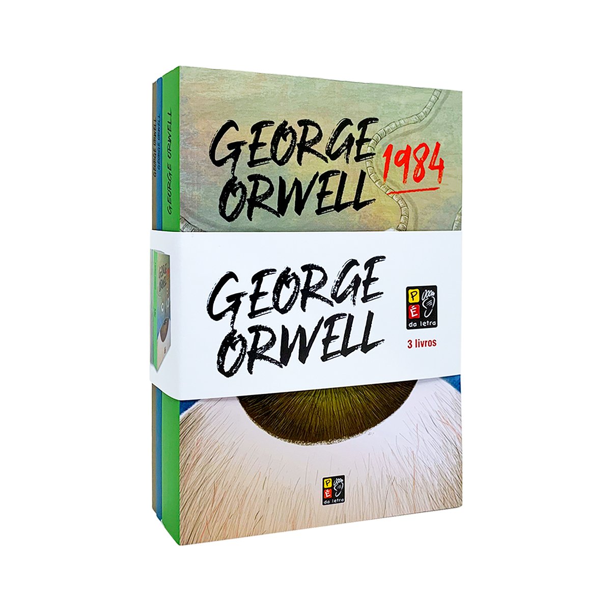 Box George Orwell - Cinta com 3 Livros - Obras Clássicas e Principais ...
