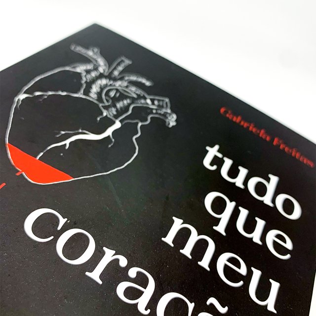 Tudo Que Meu Coração Grita Desde O Dia Em Que Você O Partiu Gabriela Freitas Livro 6475