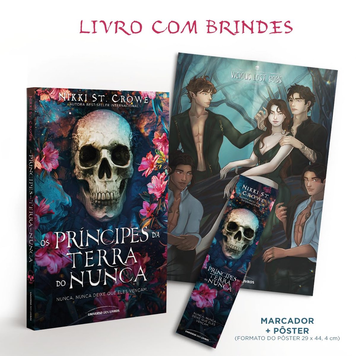 Os Príncipes da Terra do Nunca - Volume 4 Série Vicious Lost Boys - Edição  com Brinde - Nikki St. Crowe - Livro Físico | Livraria Enjoy, image size:1200x1200