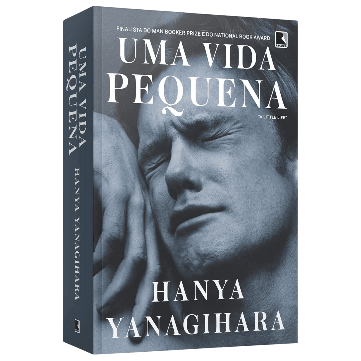 Uma Vida Pequena - Hanya Yanagihara - Livro Físico | Livraria Enjoy