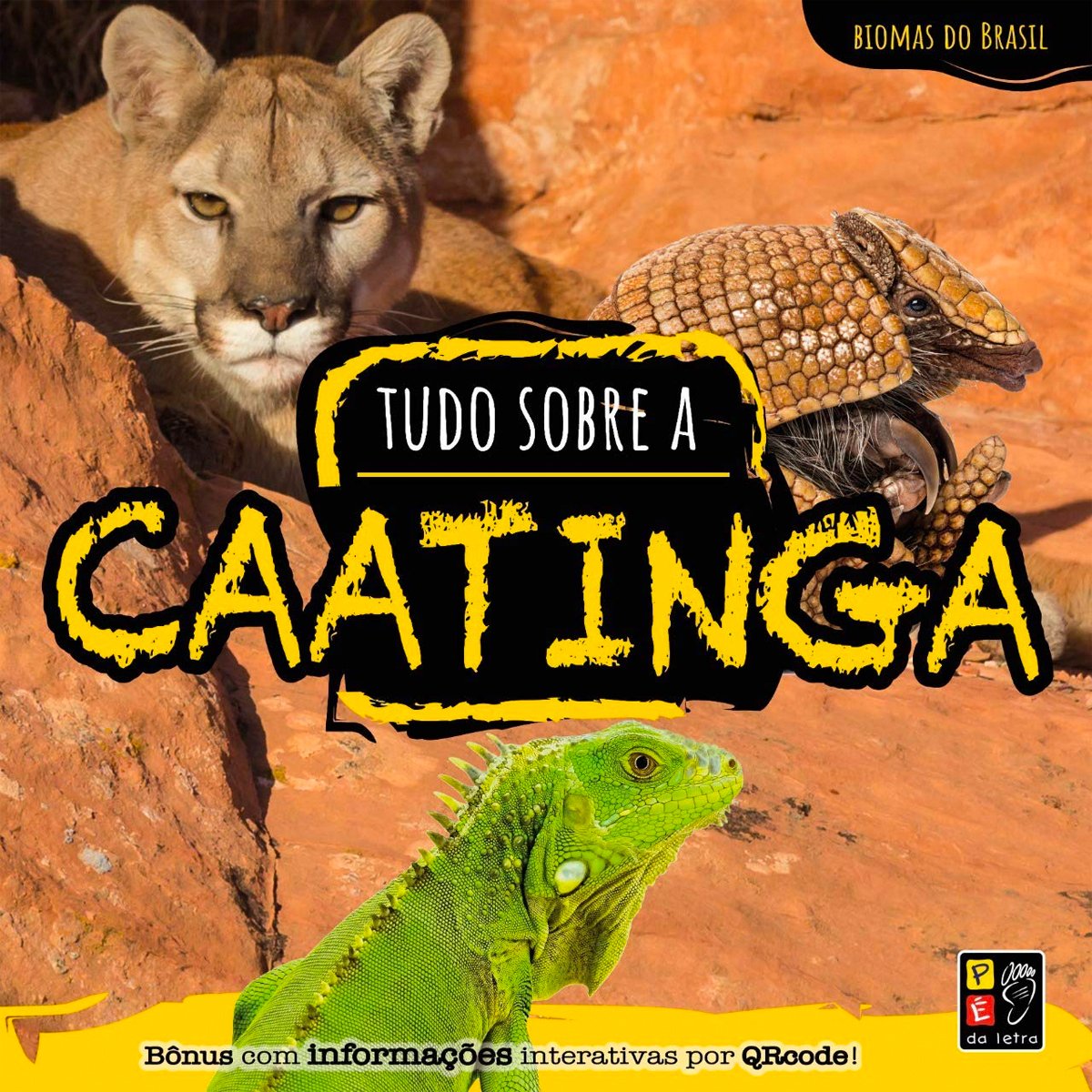 Biomas do Brasil - Tudo Sobre Caatinga + Informações Interativas Qrcode ...