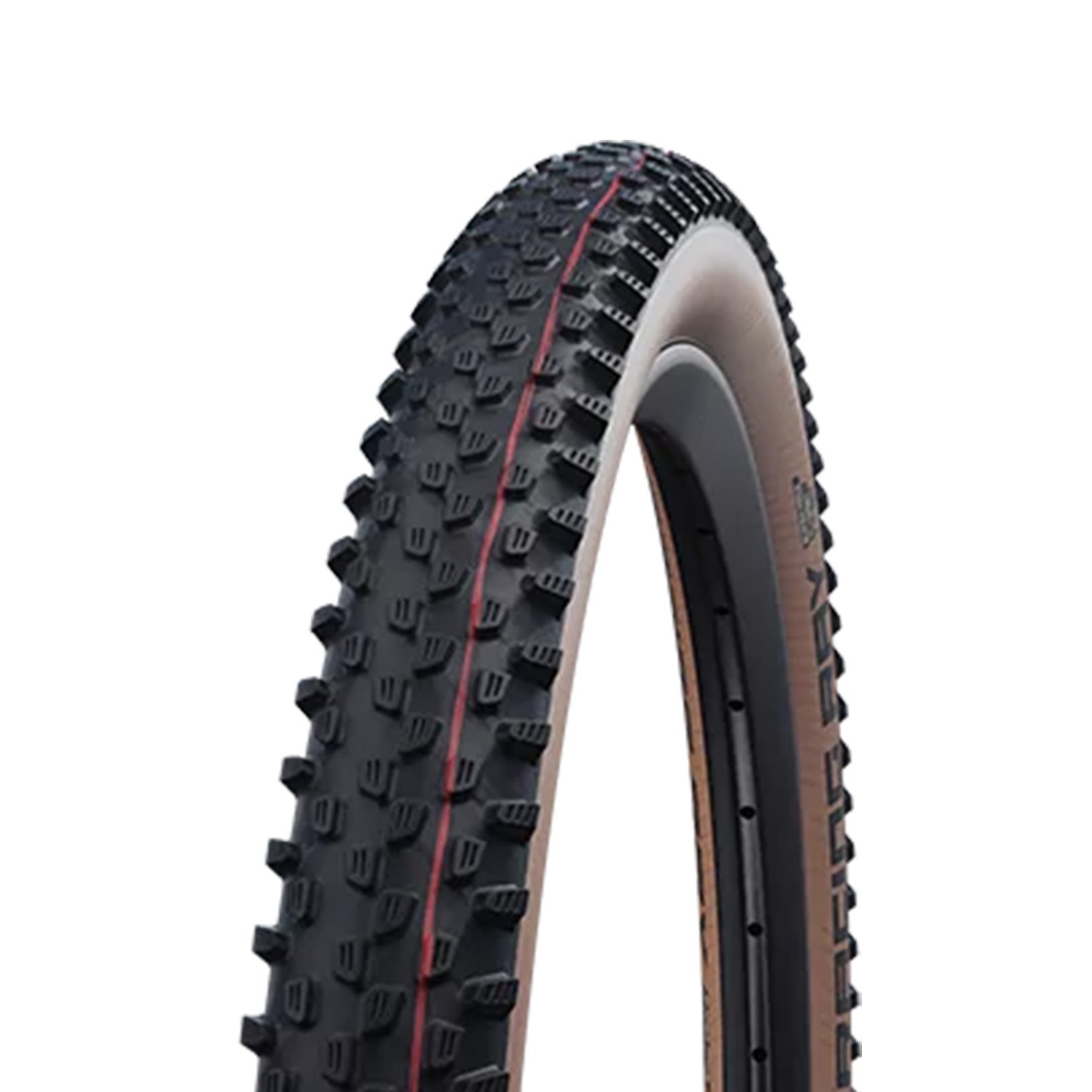 PNEU 29X2.35 SCHWALBE RACING RAY SUPER RACE TLE ADDIX SPEED