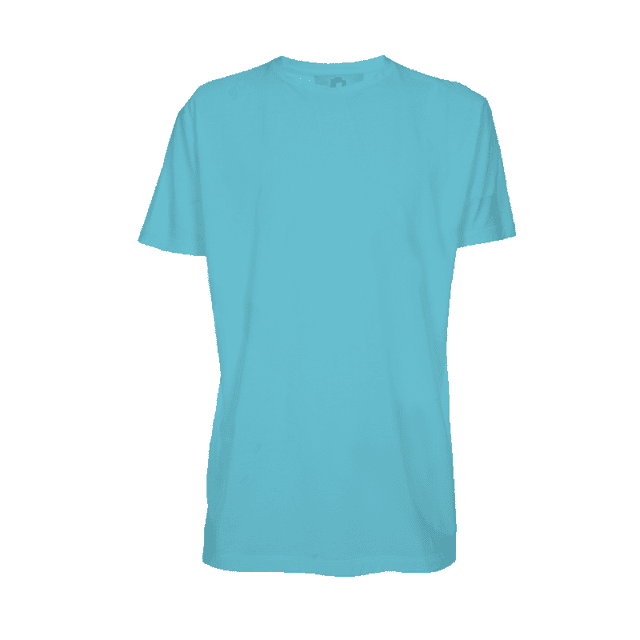 Camiseta poliéster adulto azul turquesa