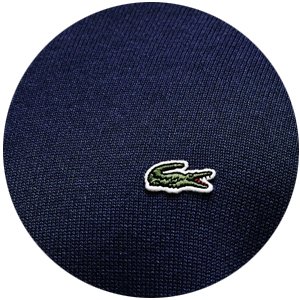 moletom-lacoste-simbolo