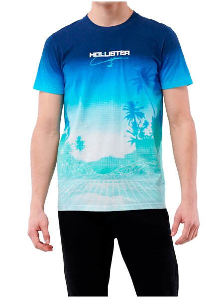 Camiseta Hollister Masculina Scenic Print Graphic Azul | Secret Outlet