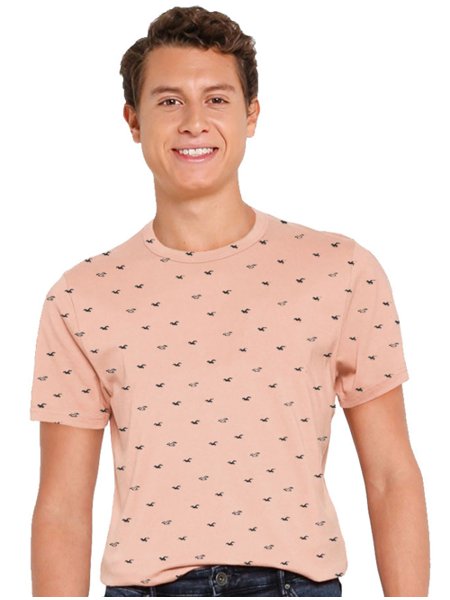 Camiseta Hollister Masculina Masculina Icon Print Graphic Rosa Salmão