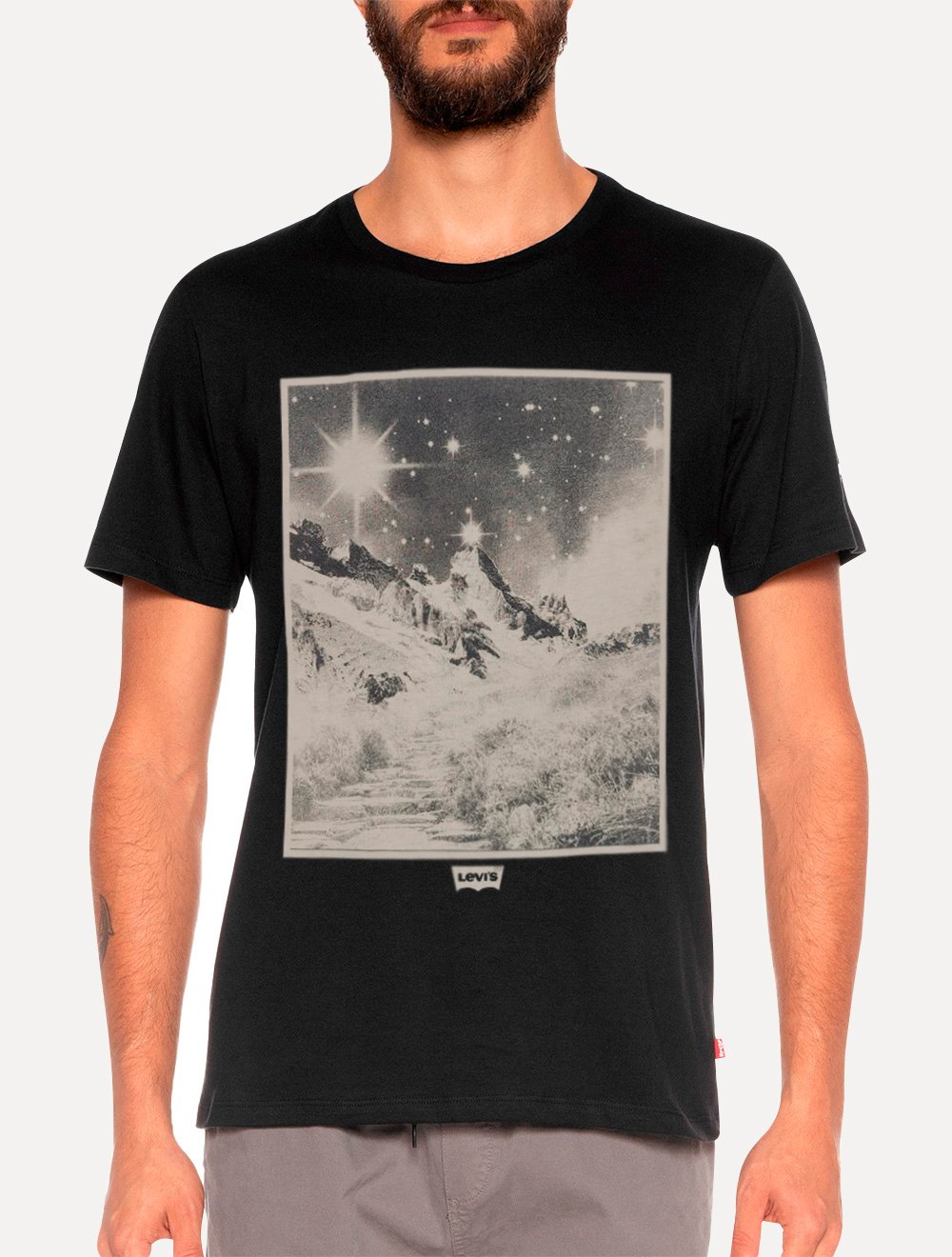 Camiseta Levis Masculina Standart Landscape Graphic Preta