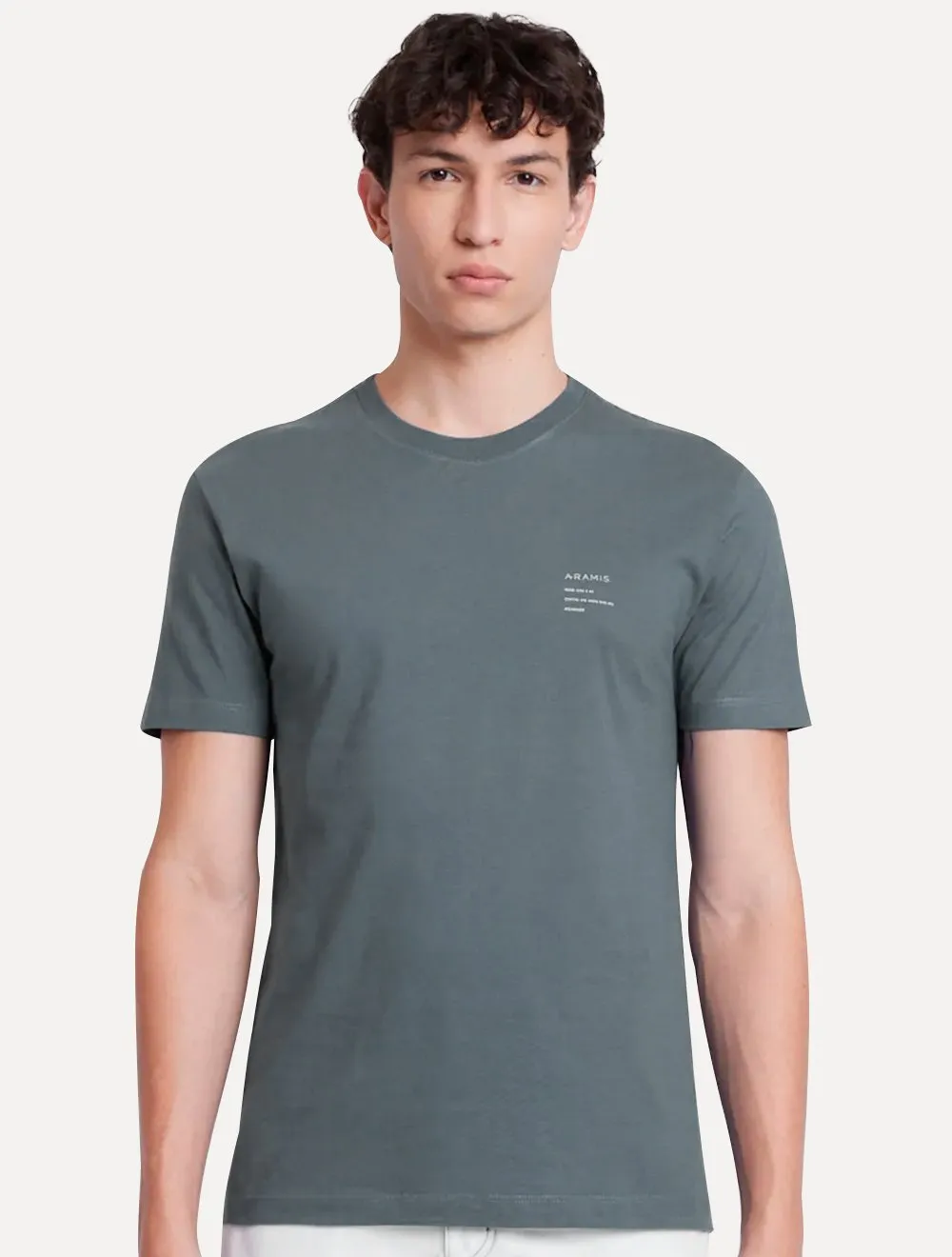 Camiseta Aramis Masculina Estampa Costas Gradiente Cinza Escuro