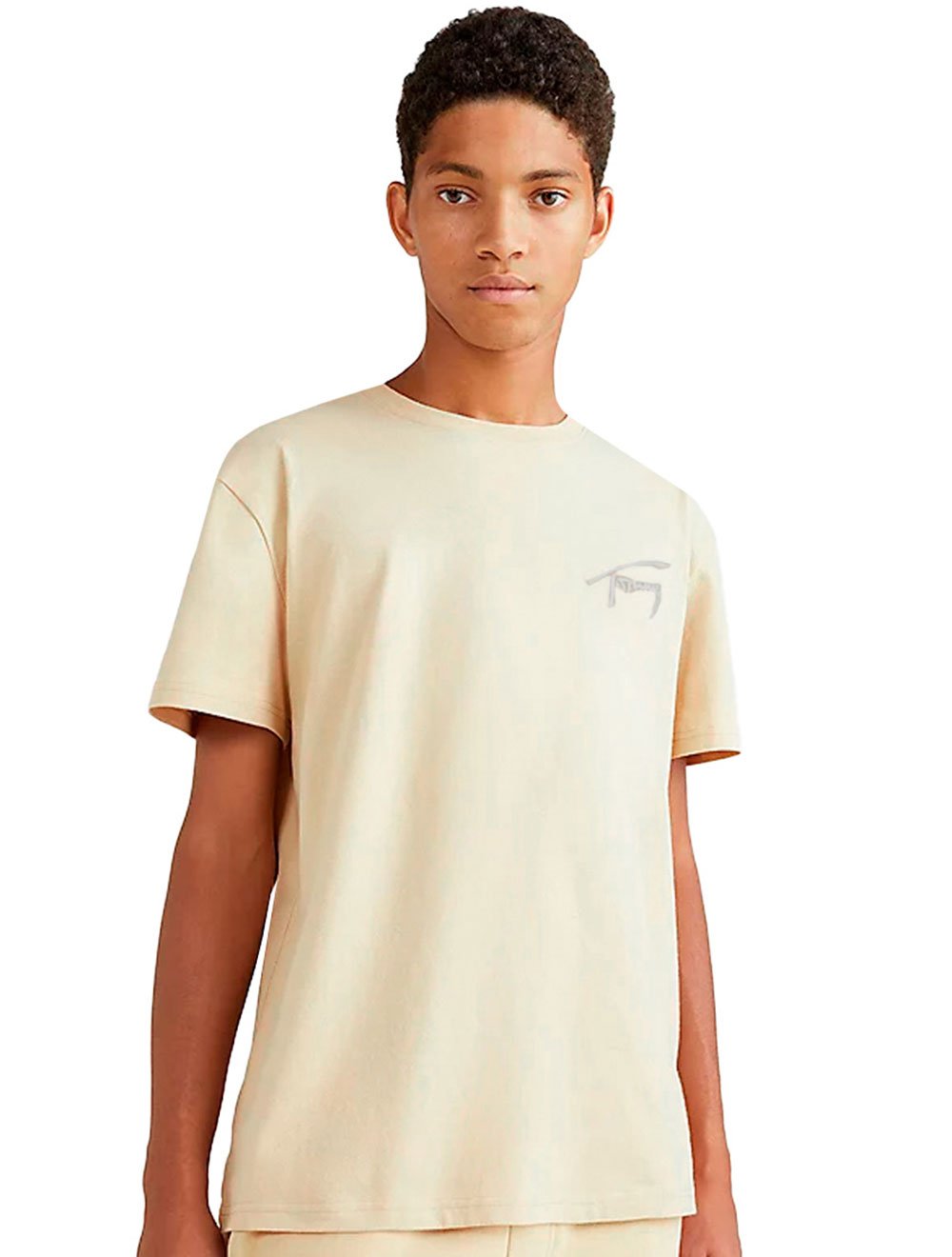 Camiseta Tommy Jeans Embroidered Signature Off-White