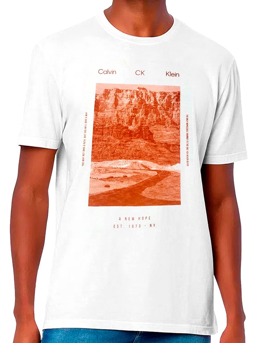 Camiseta Calvin Klein Masculina A New Hope Journey Valley Branca