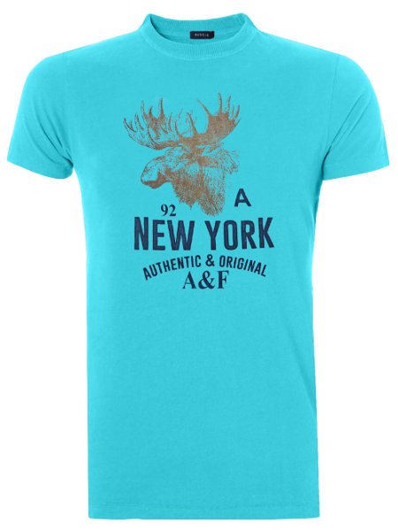 Camiseta Abercrombie Masculina Muscle Moose A92 New York Print Azul Claro