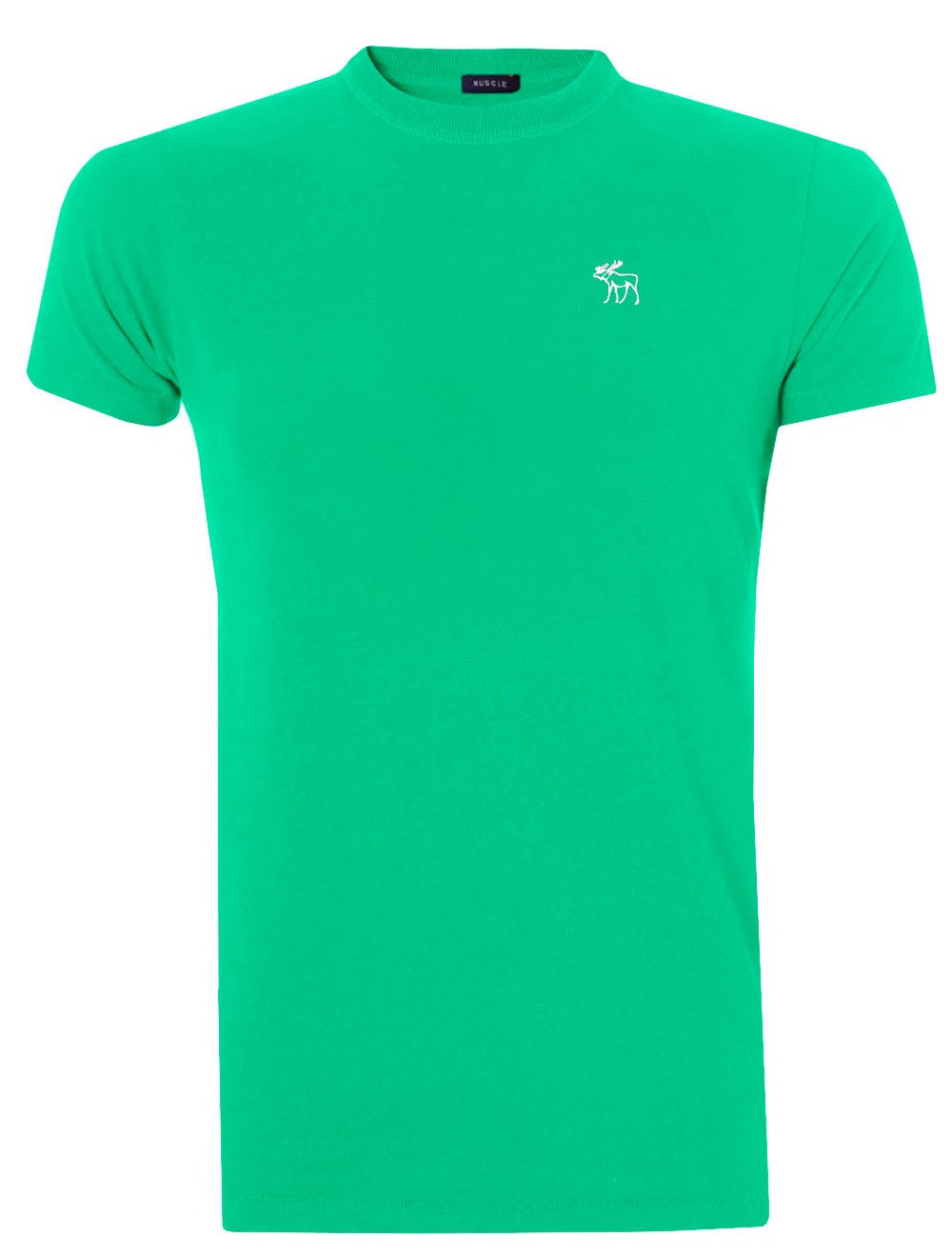 Camiseta Abercrombie Masculina Outline White Icon Verde