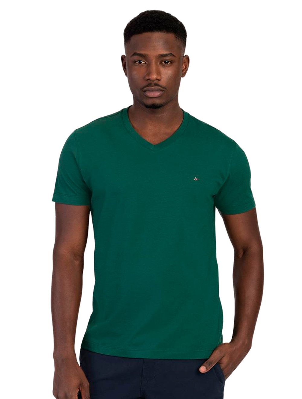 Camiseta Aramis Masculina Basic V-Neck Verde