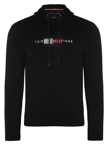 tommy hilfiger signature moletom com capuz