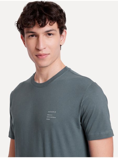 Camiseta Aramis Masculina Estampa Costas Gradiente Cinza Escuro