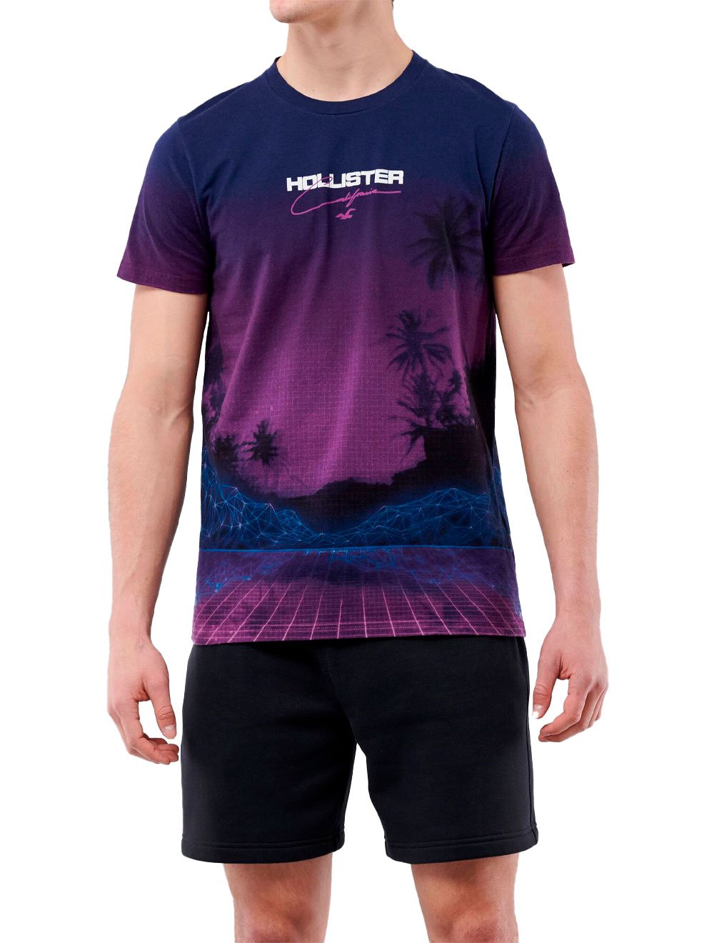 camisas hollister