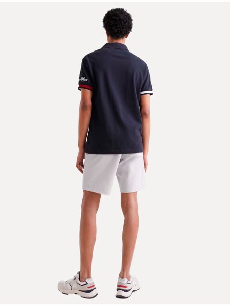 Polo Tommy Hilfiger Masculina Regular Piquet Colourblock Azul