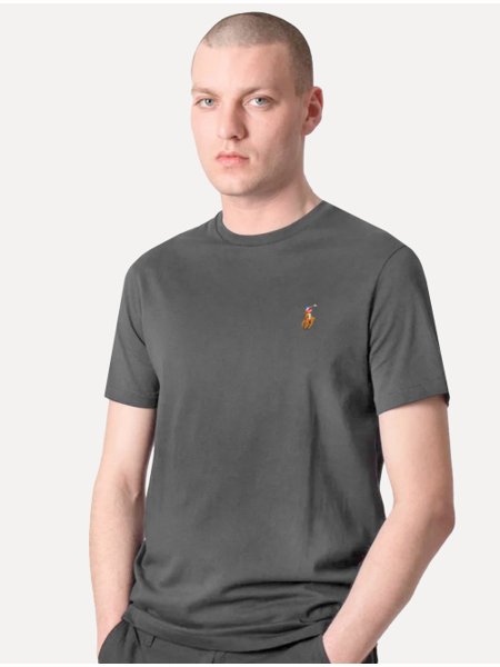 Camiseta Ralph Lauren Masculina Custom Slim Fit Coloured Icon Grafite