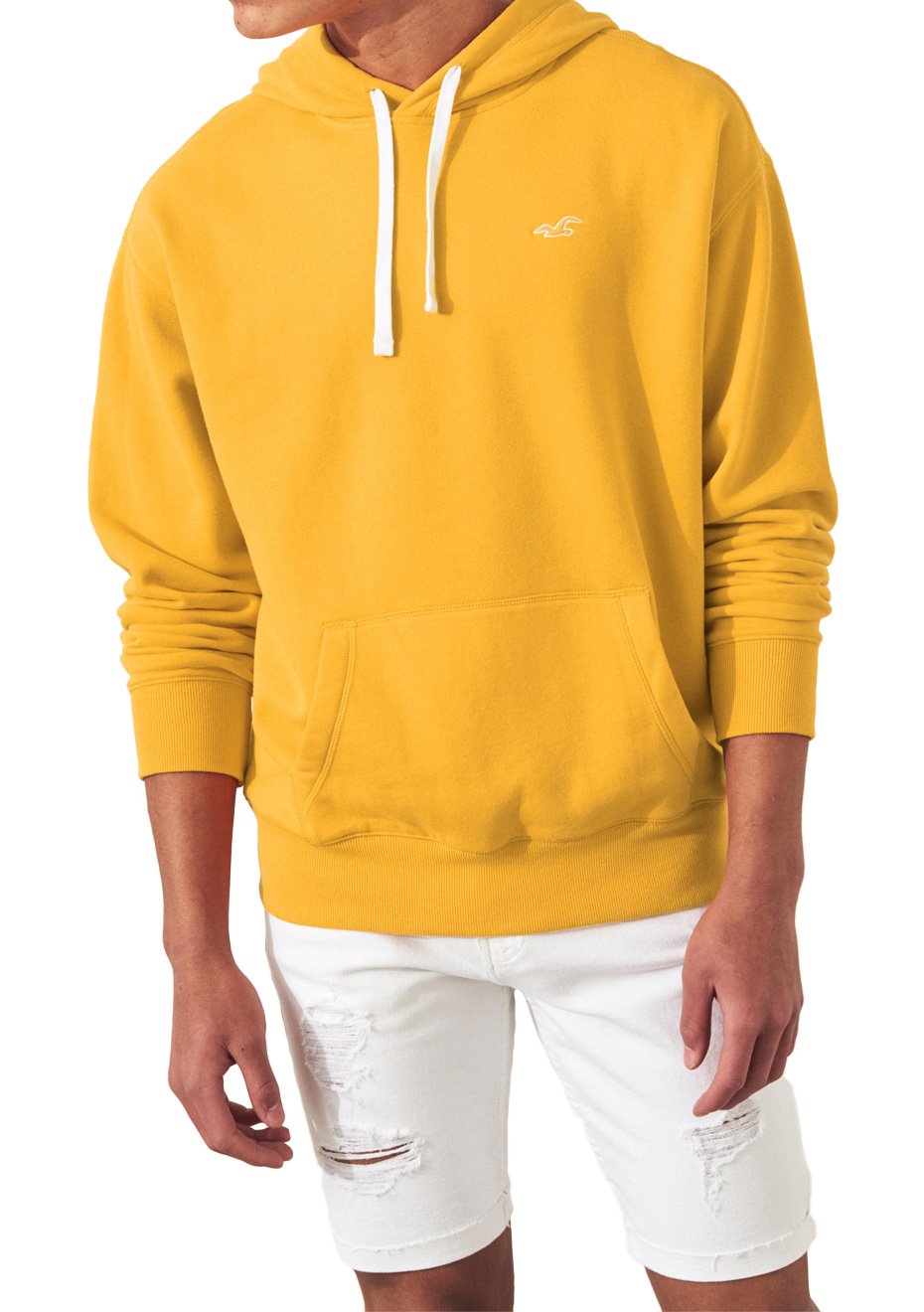 moletom com capuzs hollister mens